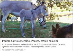 Read more about the article Nuovo sito online  – Podere Santo Smeraldo